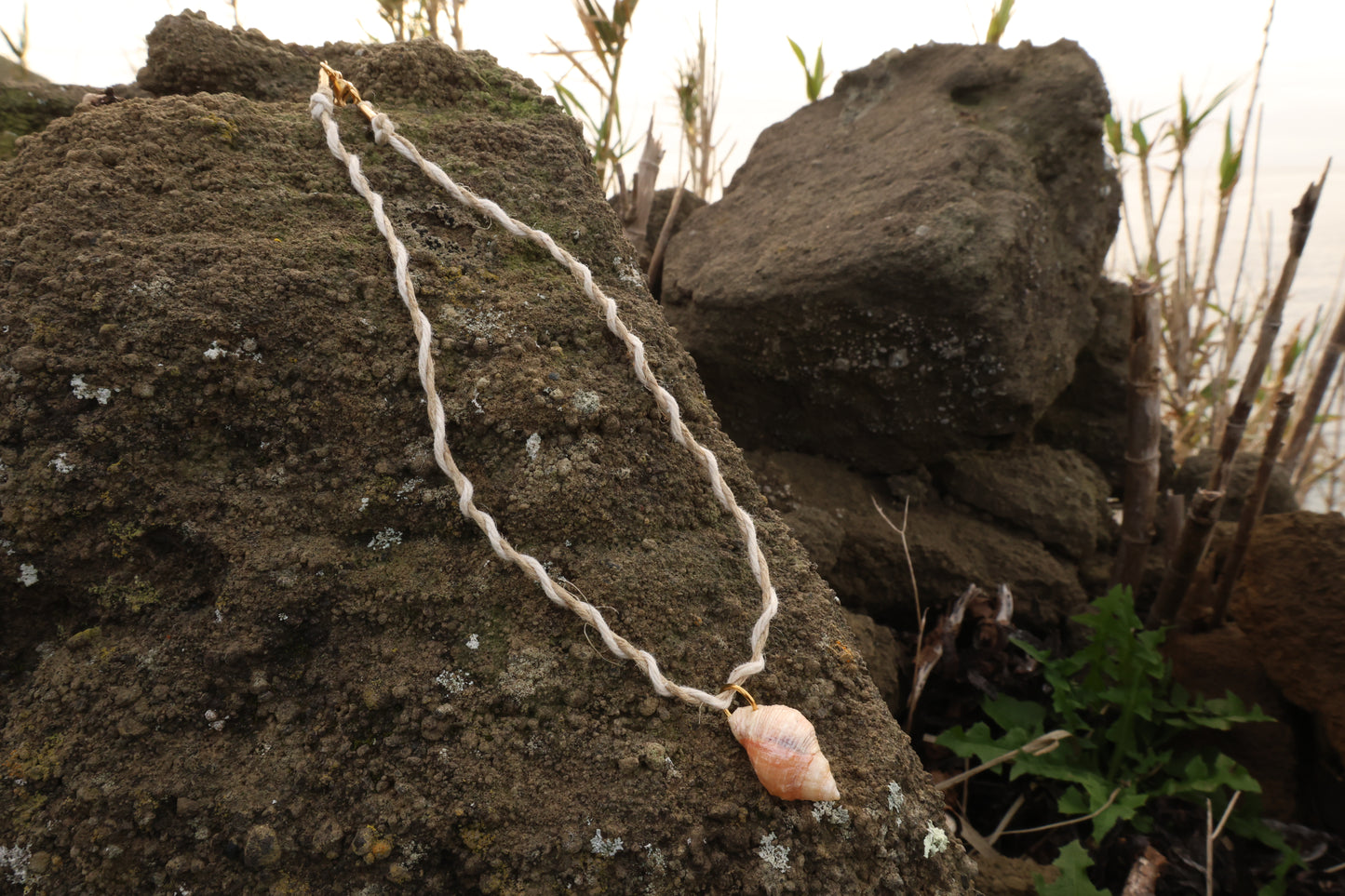 Mixed Simple Macrame Conch Shell Necklace
