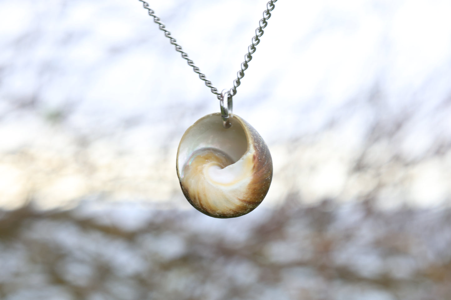 Conch Shell Chain Necklace